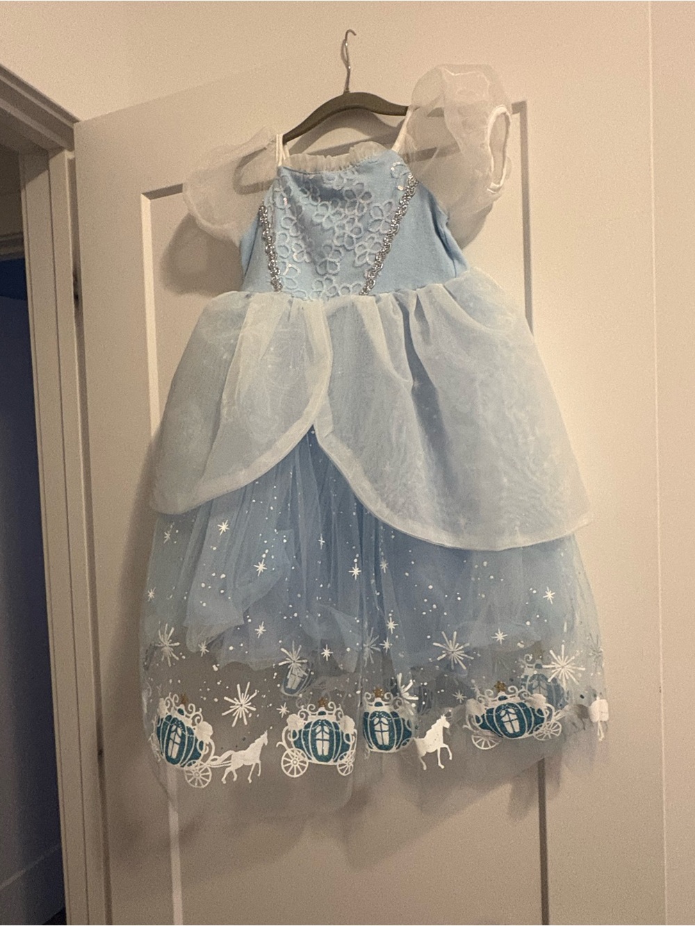 Cinderella Princess Carriage Tulle Costume Dress for Kids